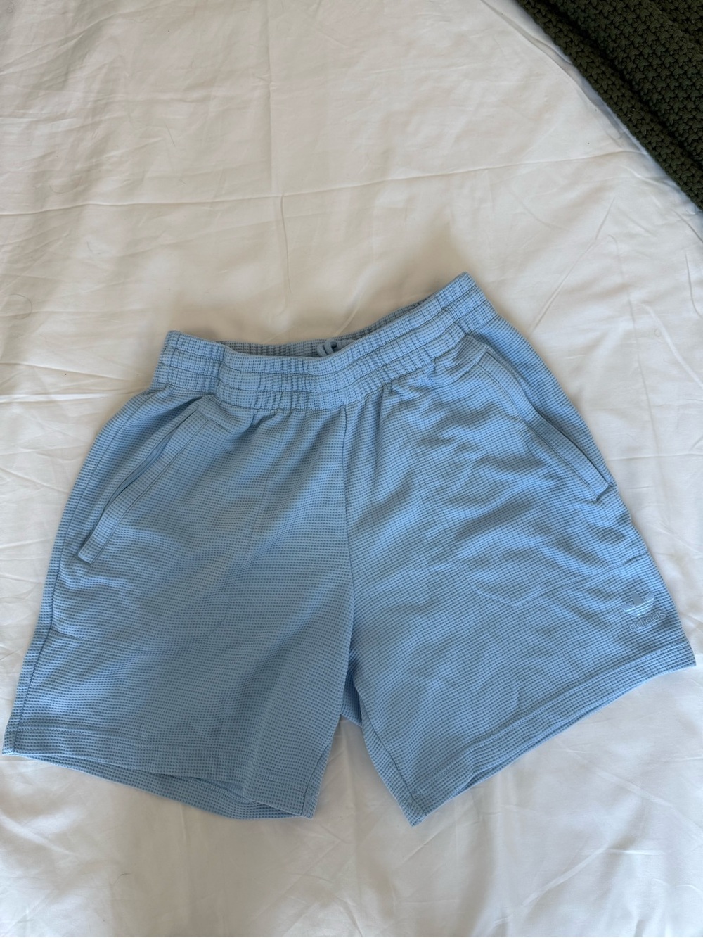 adidas Light Blue Athletic Performance Shorts